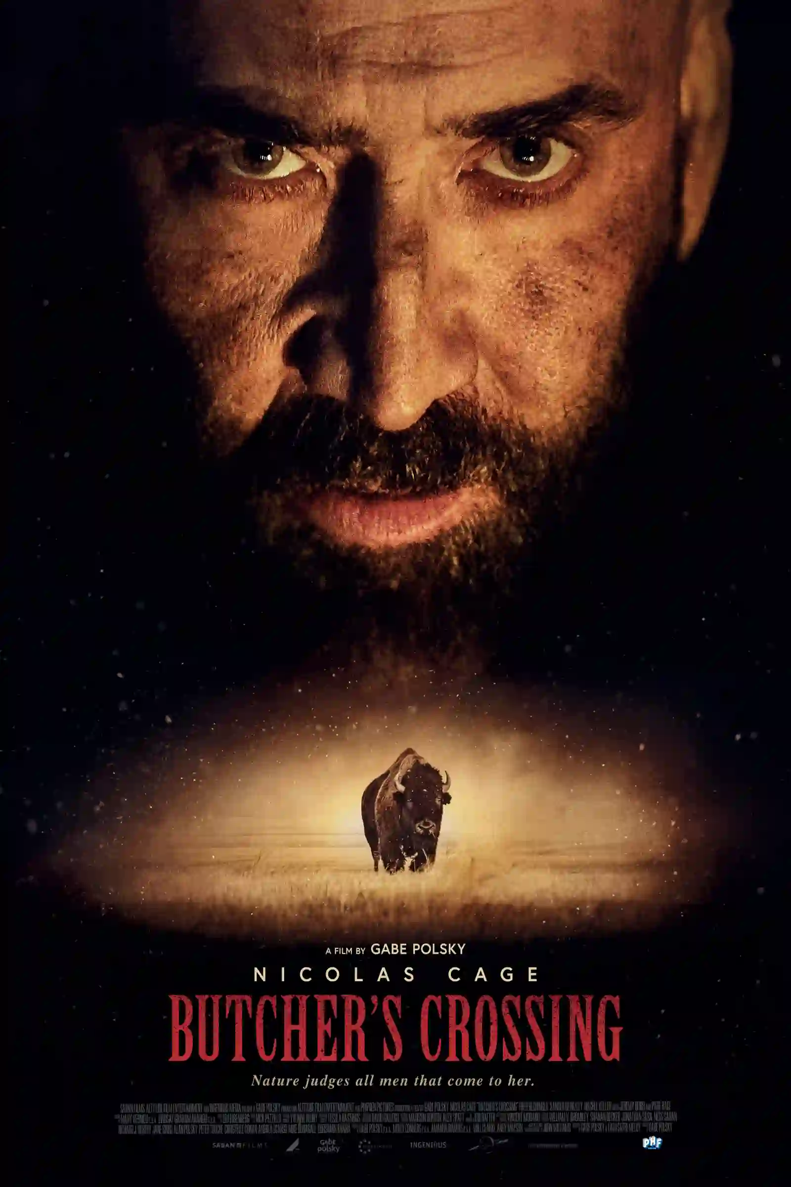 в поисках зверя butcher s crossing