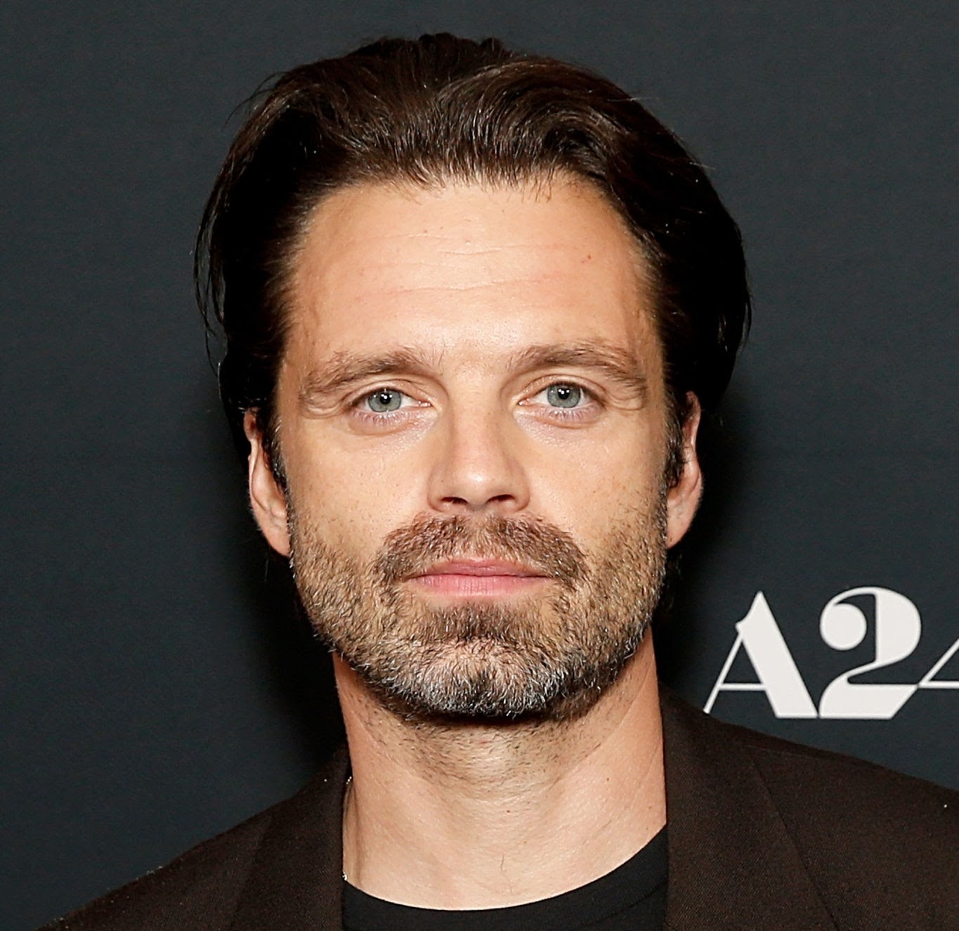 سيباستيان ستان